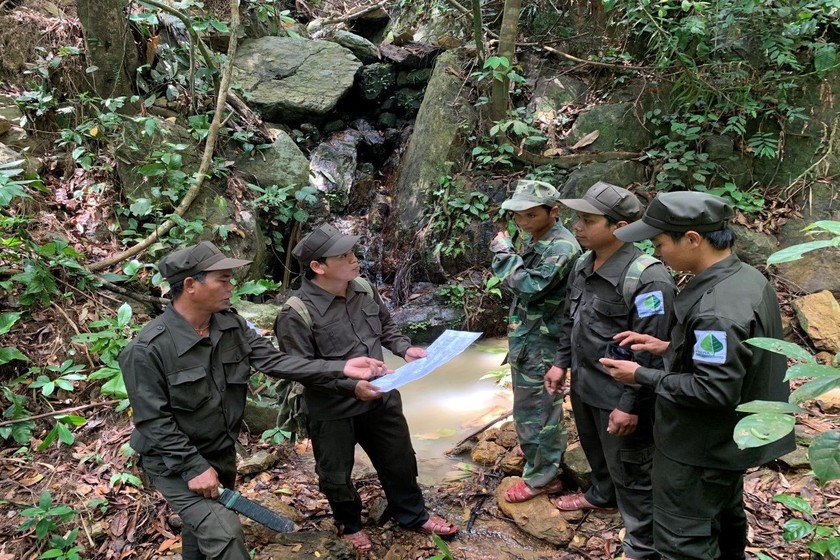 Quỹ Bảo vệ và Phát triển rừng tỉnh Thừa Thiên Huế tích cực góp phần quản lý, bảo vệ và phát triển rừng bền vững