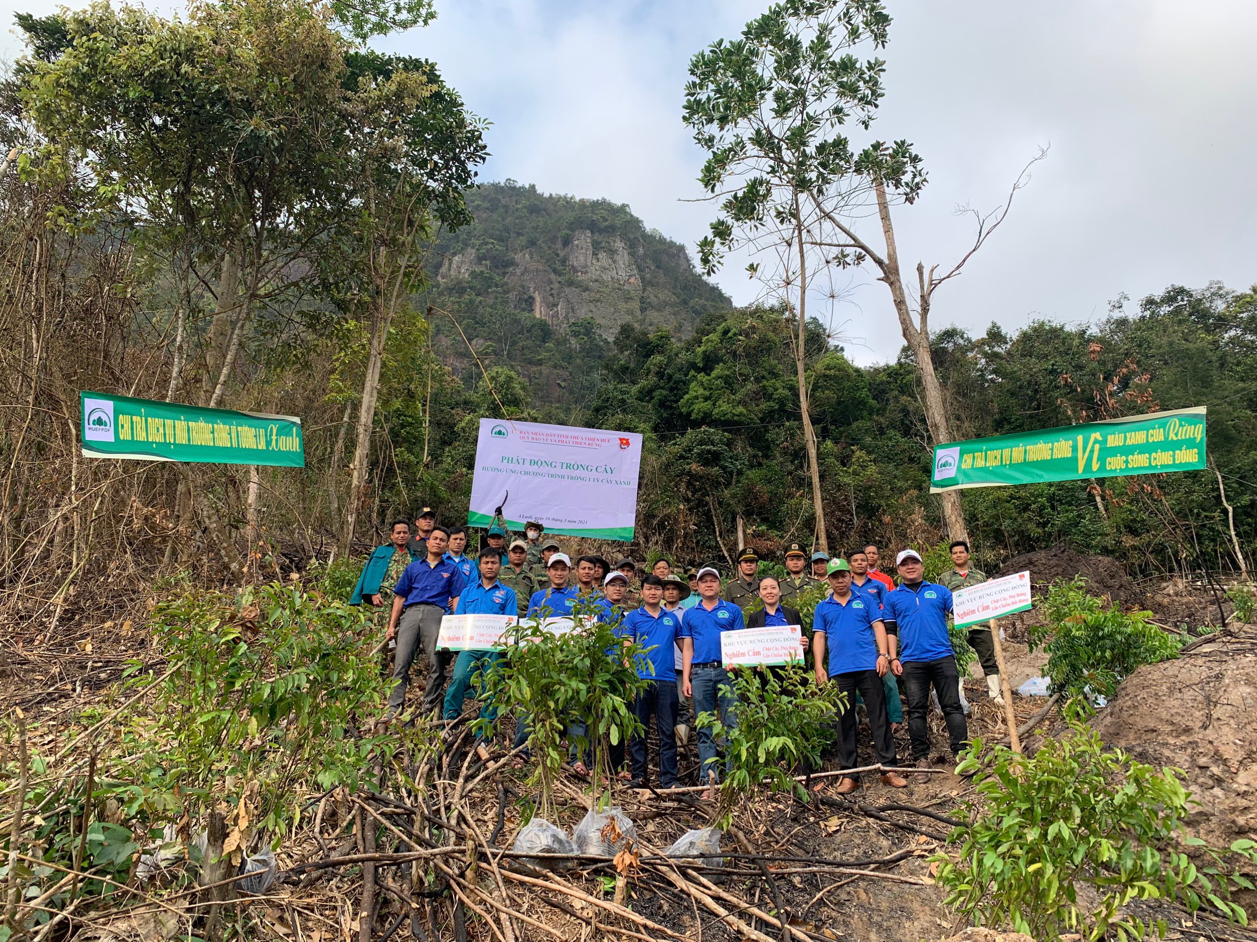 Hoạt động trồng cây tuyên truyền chính sách chi trả dịch vụ môi trường rừng, hưởng ứng chương trình trồng 1 tỷ cây xanh trên địa bàn xã Hồng Vân, huyện A Lưới
